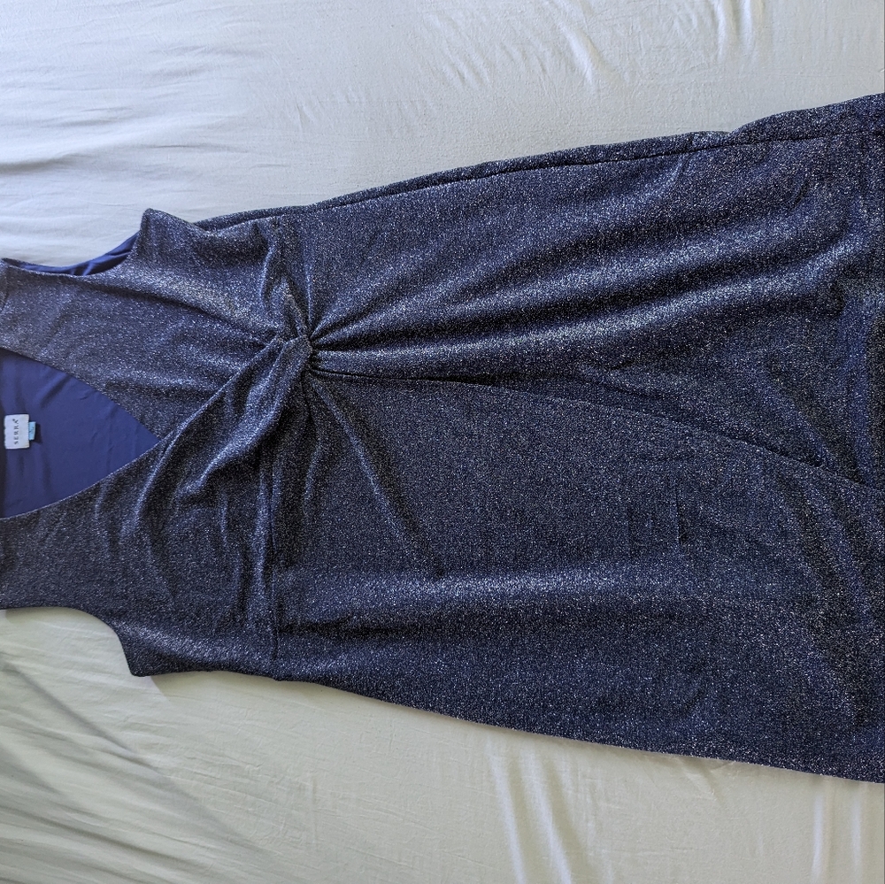 Sparkling dark blue dress